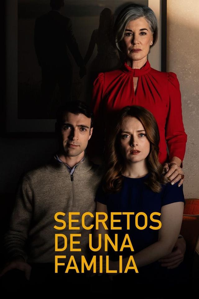 Poster Hidden Family Secrets