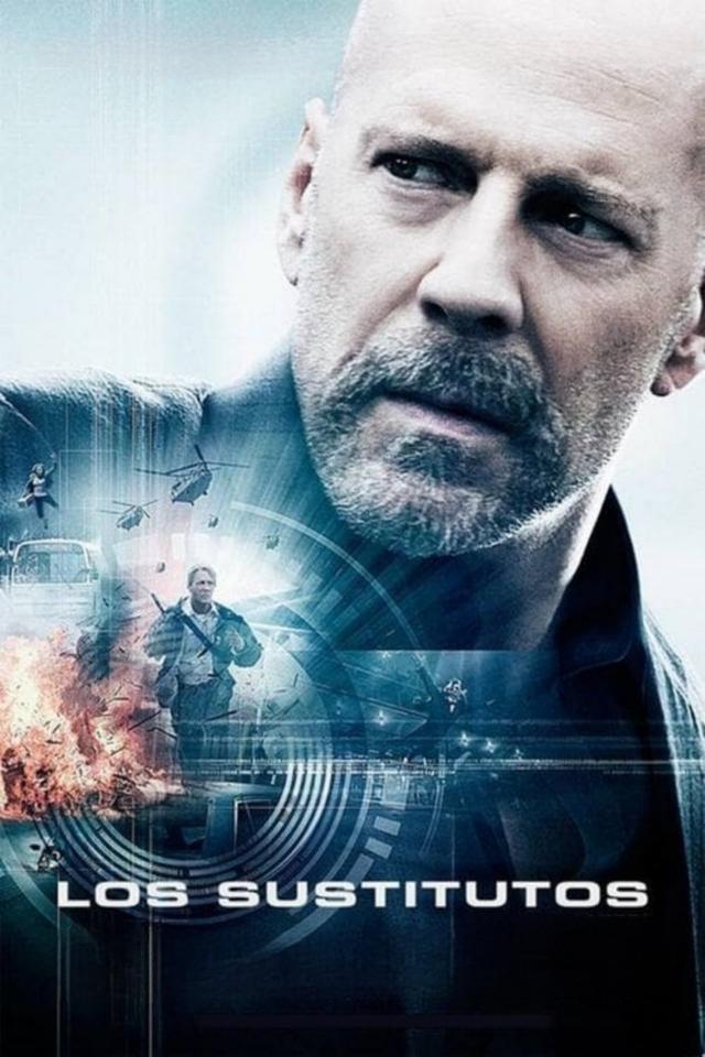 Poster Identidad Sustituta