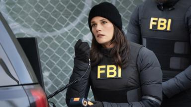 Poster episodio F.B.I. 7x12