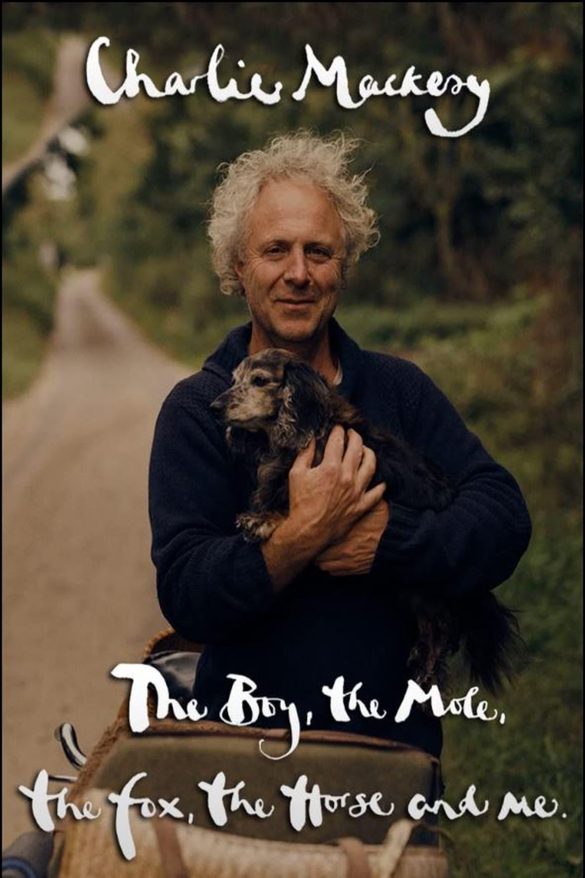 Poster Charlie Mackesy: The Boy, the Mole, the Fox, the Horse and Me