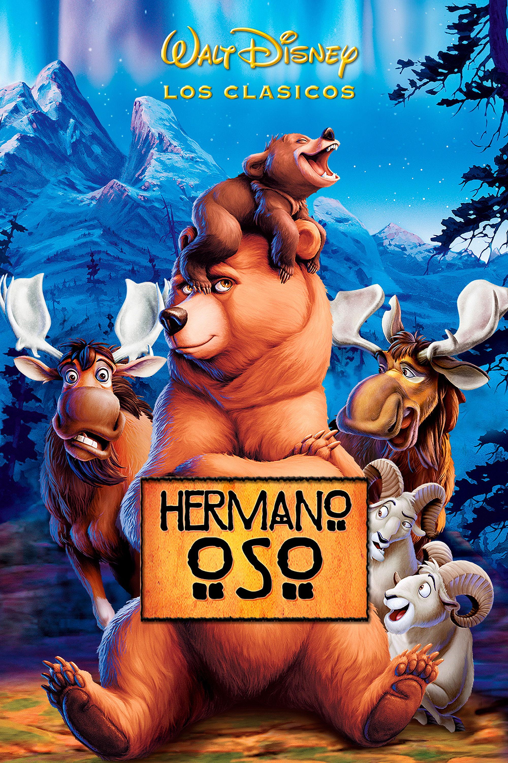 Poster Tierra de Osos
