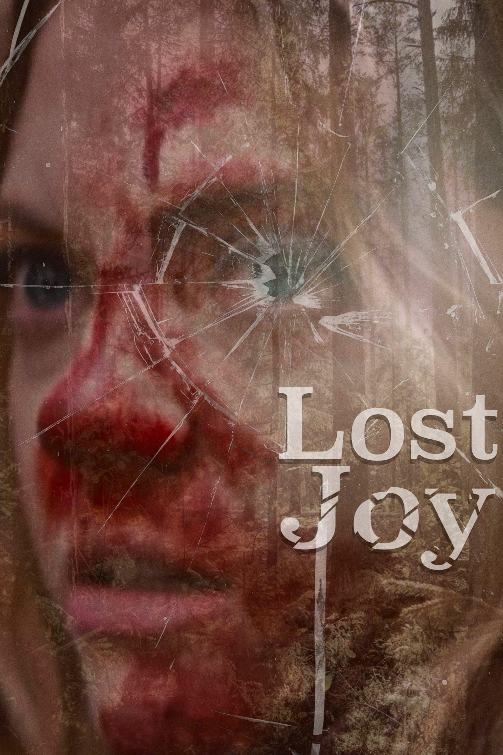 Poster Lost Joy