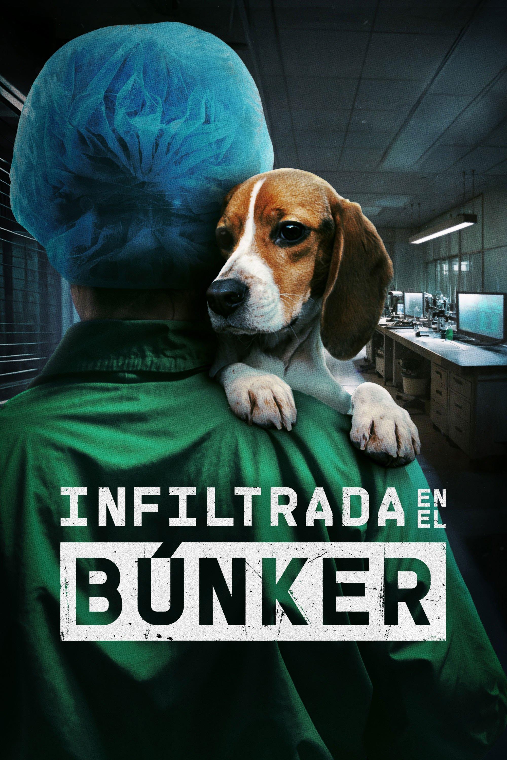 Poster Infiltrada en el búnker