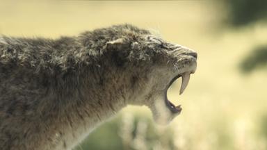 Poster episodio Planeta prehistórico 3x4