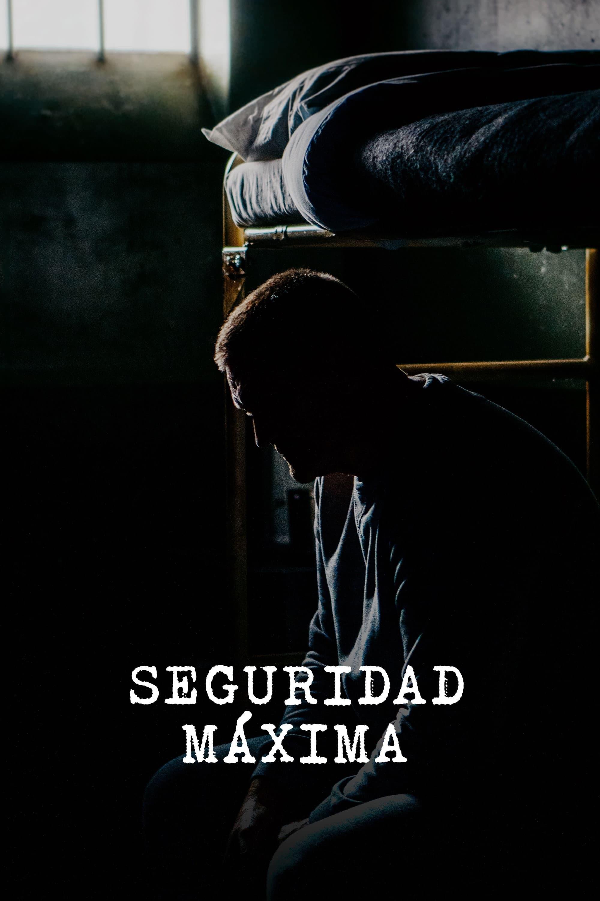 Poster Seguridad Maxima