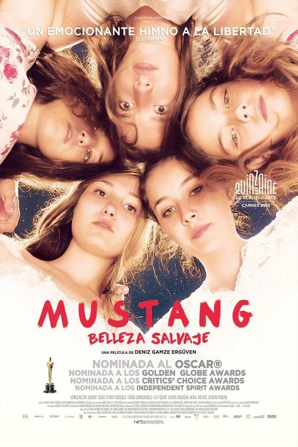 Poster Mustang: Belleza Salvaje