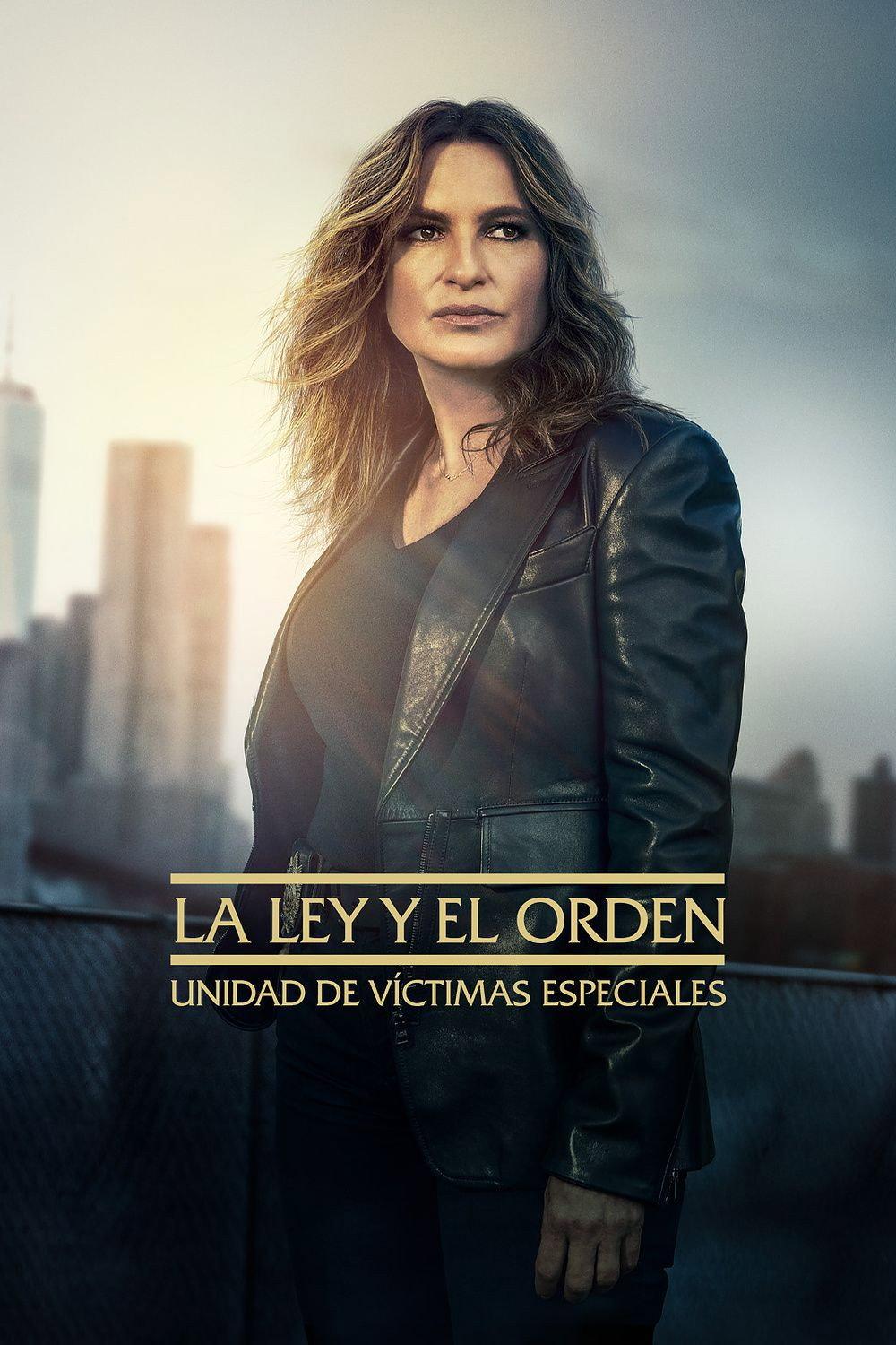 Poster La Ley y el Orden: Unidad de Víctimas Especiales