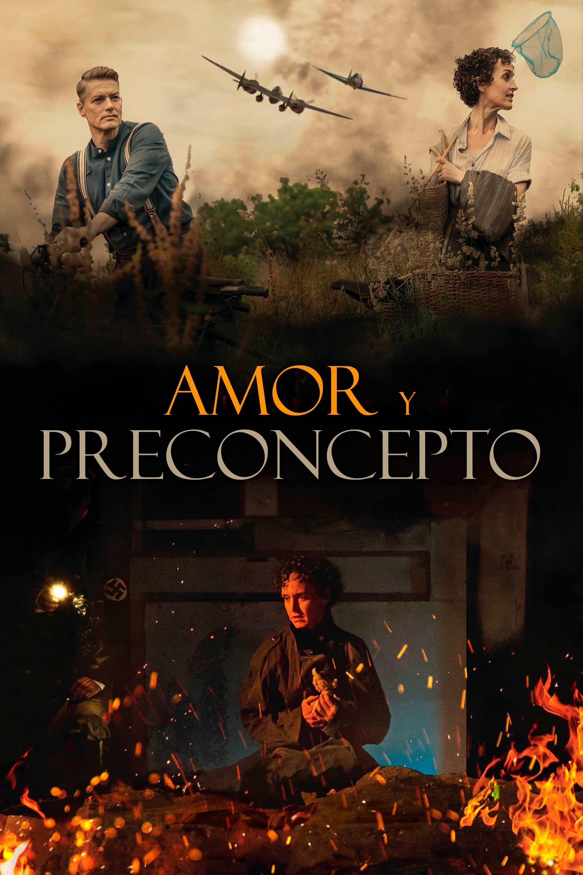 Poster Amor y preconcepto