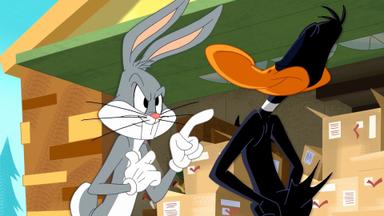 Poster episodio El Show de los Looney Tunes 2x17