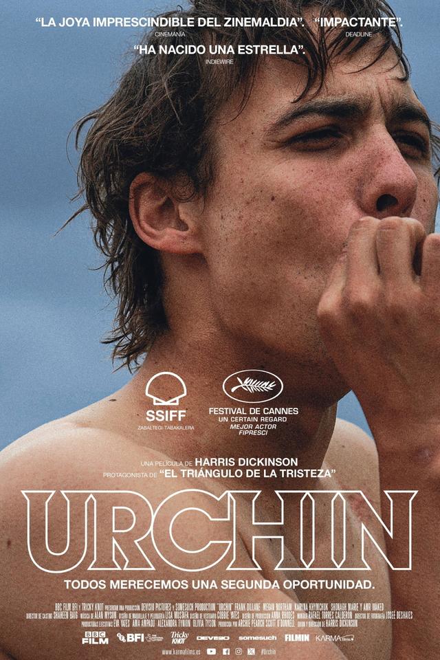 Poster Urchin