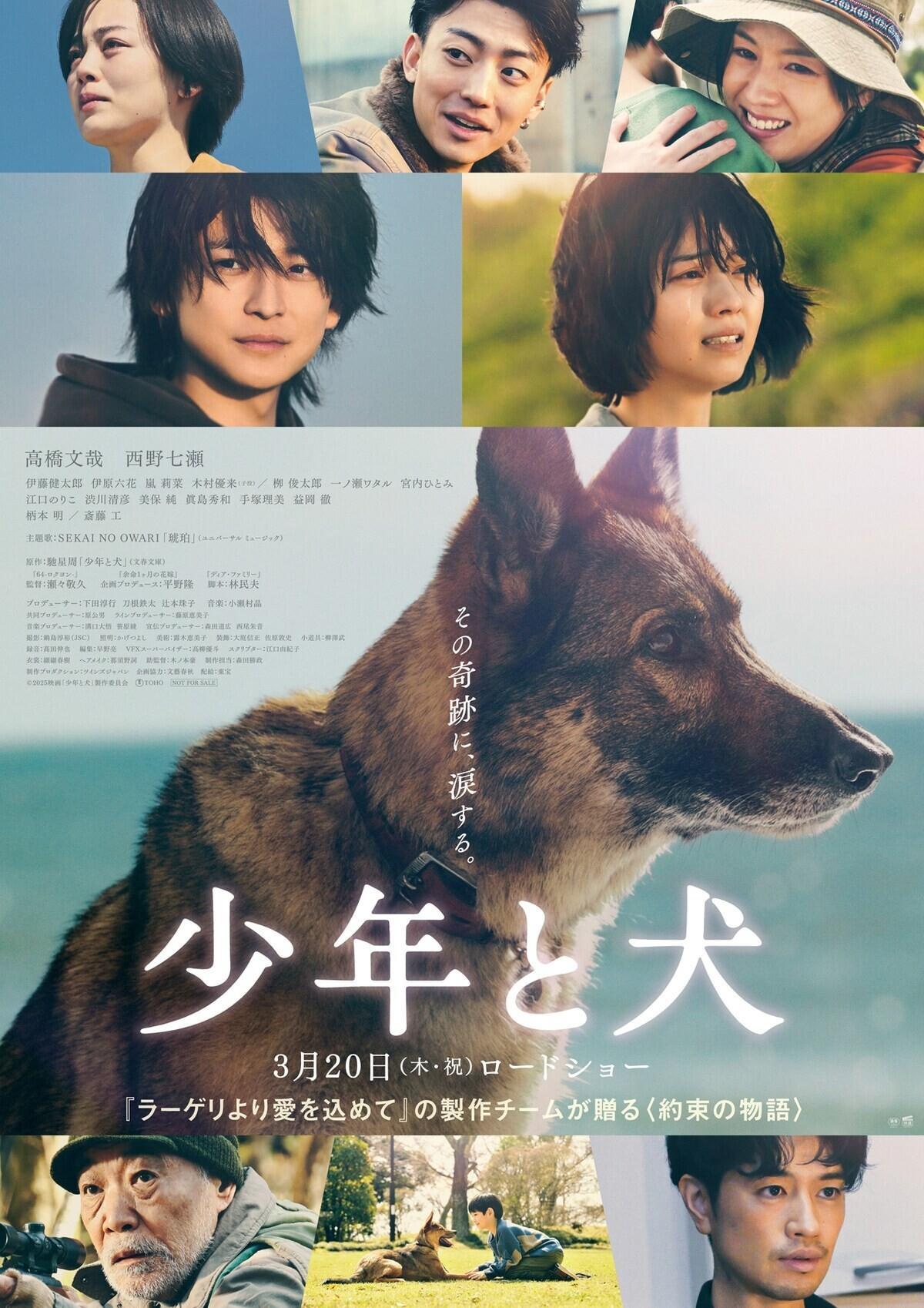 Poster The Boy and the Dog