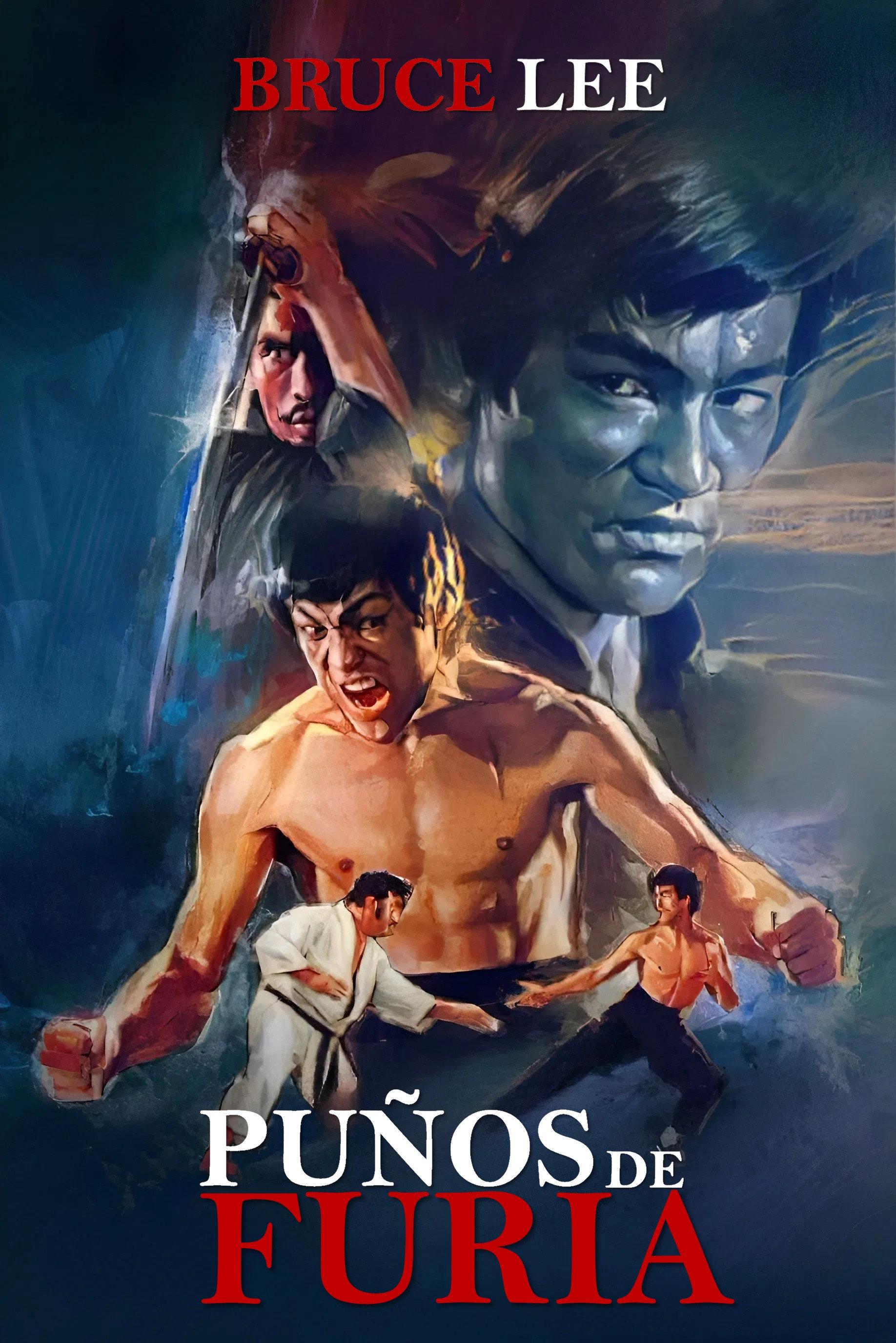 Poster Puño de furia
