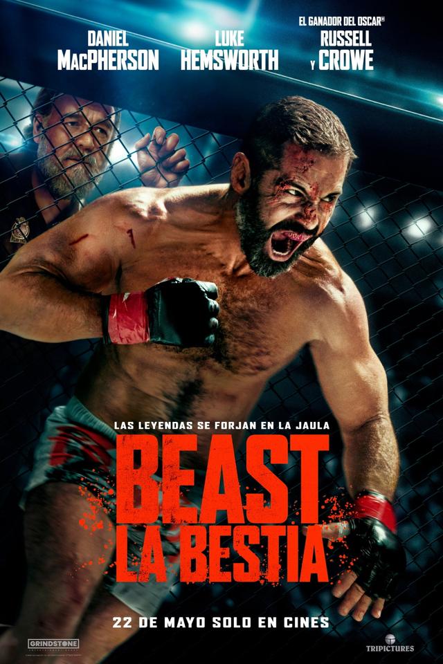 Poster Beast