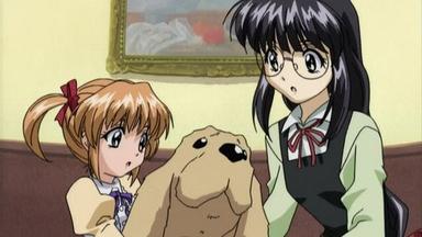 Poster episodio Sister Princess 1x2