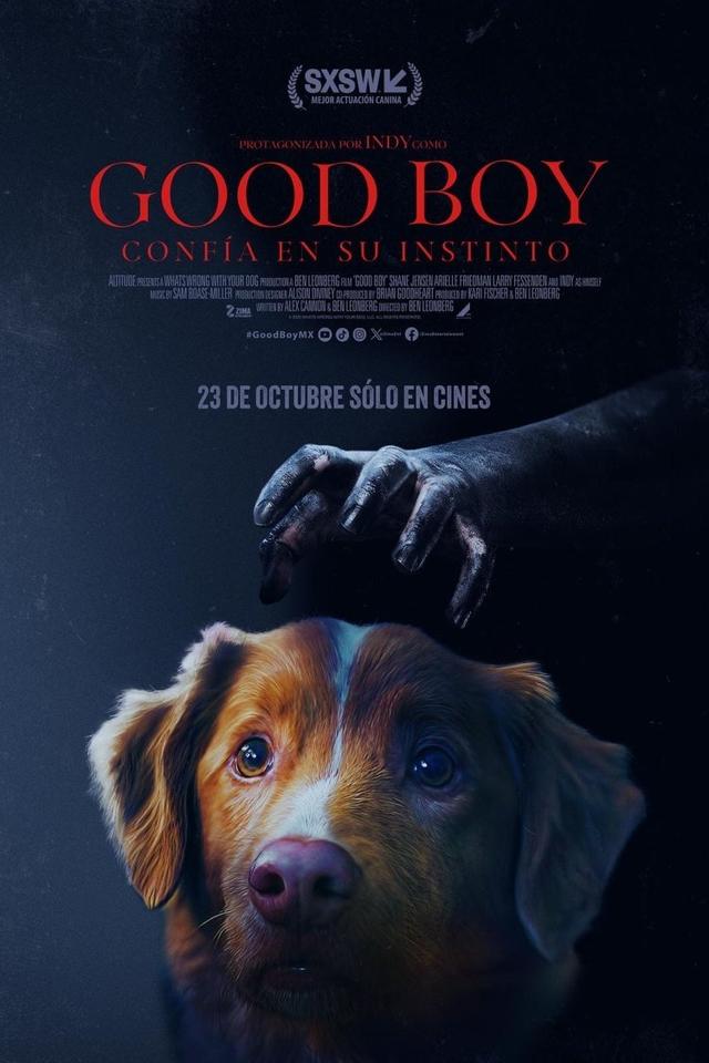 Poster Good Boy