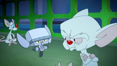 Poster episodio Animaniacs 1x12