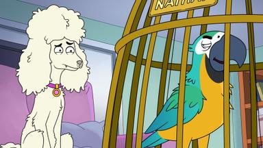 Poster episodio HouseBroken 1x9