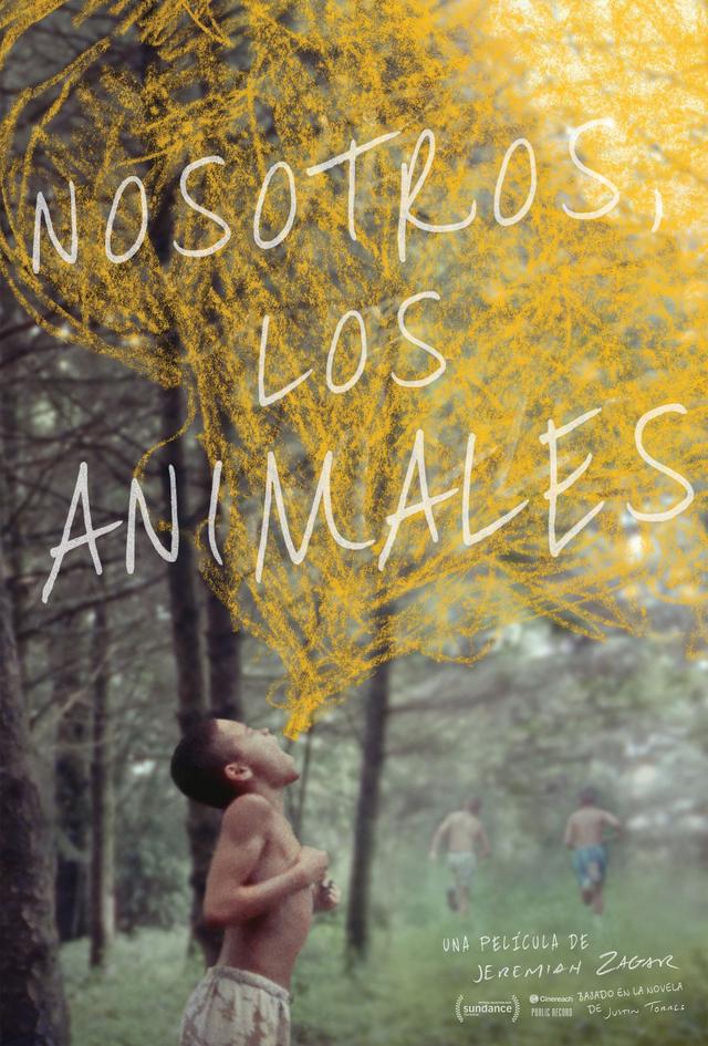 Poster Nosotros los animales