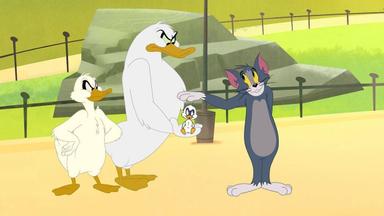 Poster episodio Tom y Jerry en Nueva York 1x1