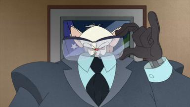 Poster episodio Animaniacs 1x9