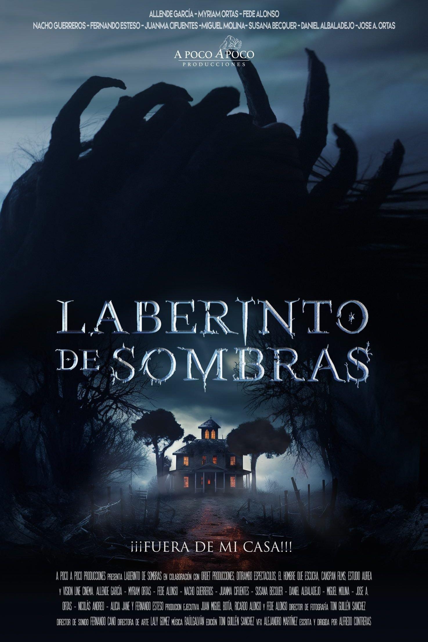 Poster Laberinto de sombras