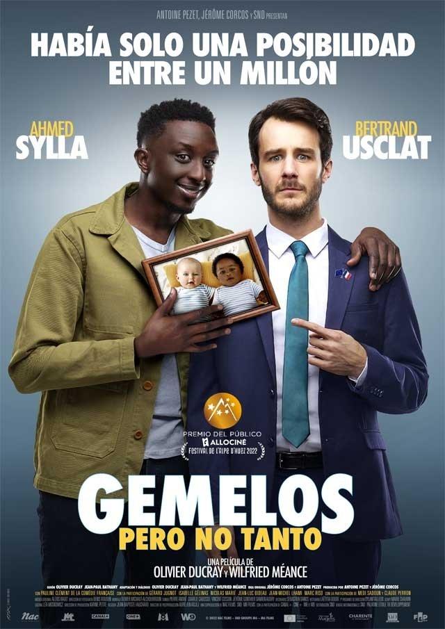Poster Jumeaux mais pas trop