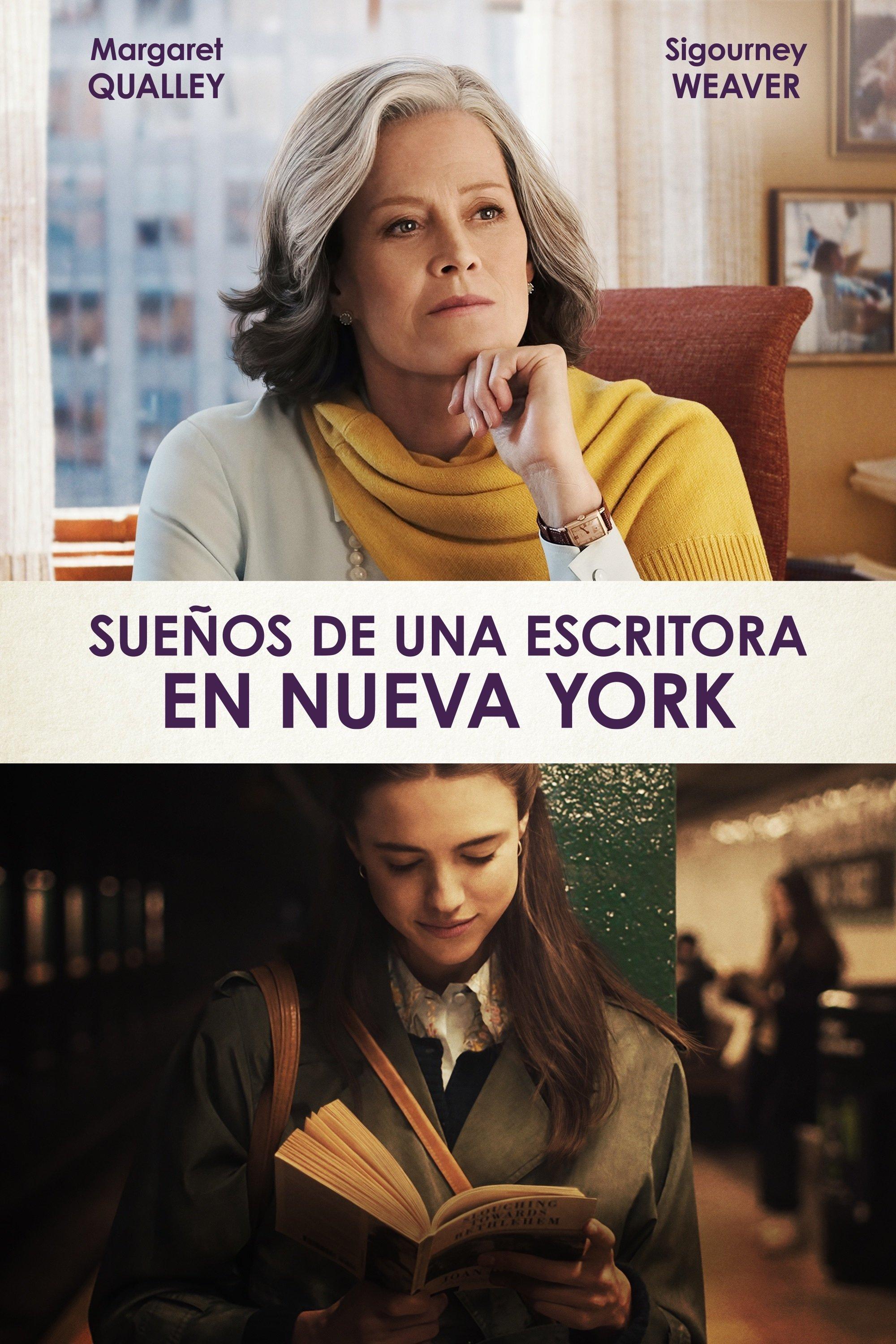 Poster El trabajo de mis sueños