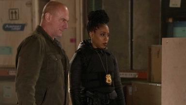 Poster episodio La ley y el orden: crimen organizado 2x18