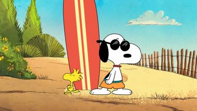 Poster episodio El show de Snoopy 1x9