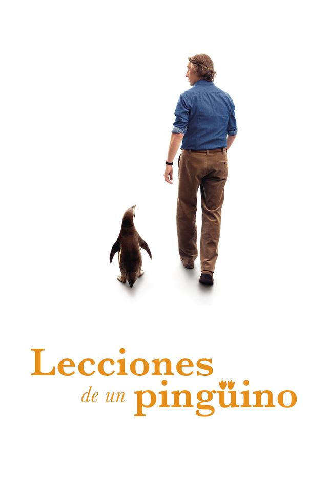 Poster Lecciones de un pingüino