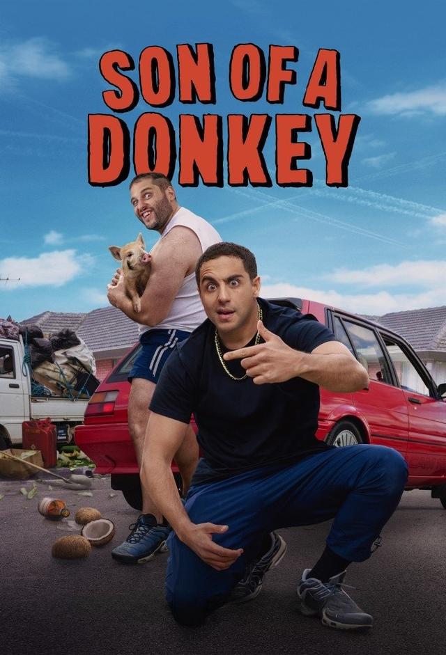 Poster Son of a Donkey