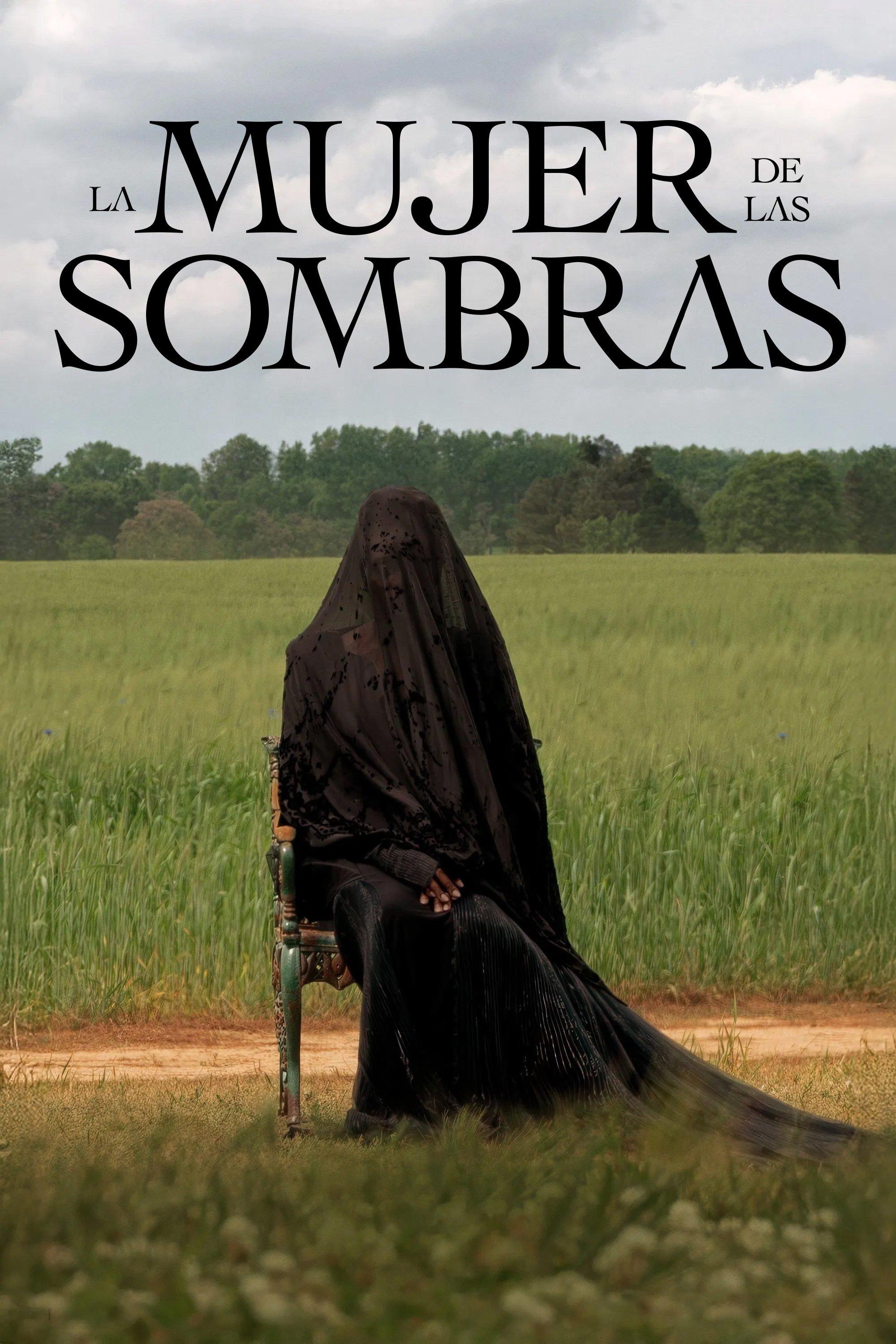 Poster La mujer de las sombras