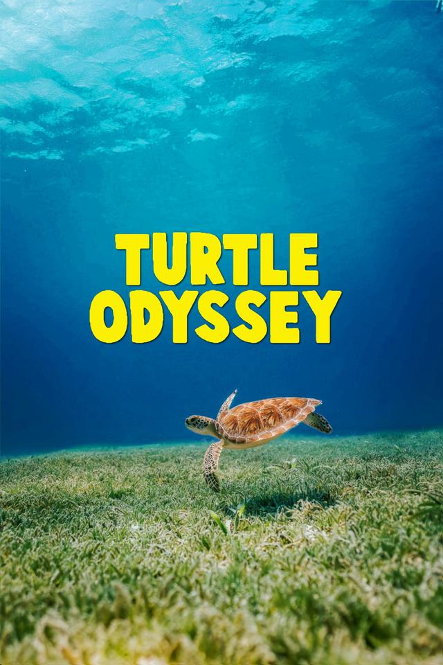 Poster Turtle Odyssey
