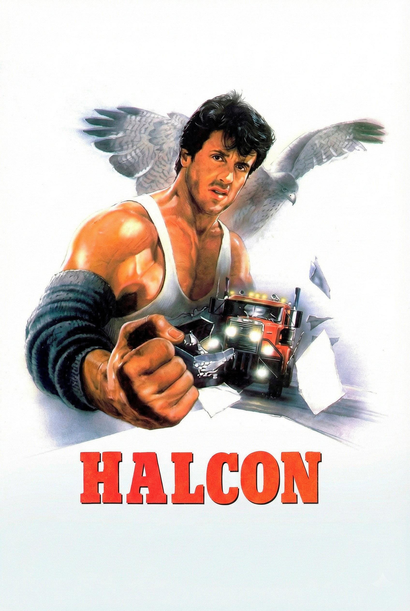 Poster Halcón