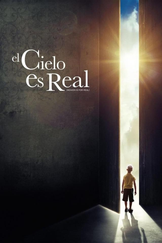Poster El cielo sí existe