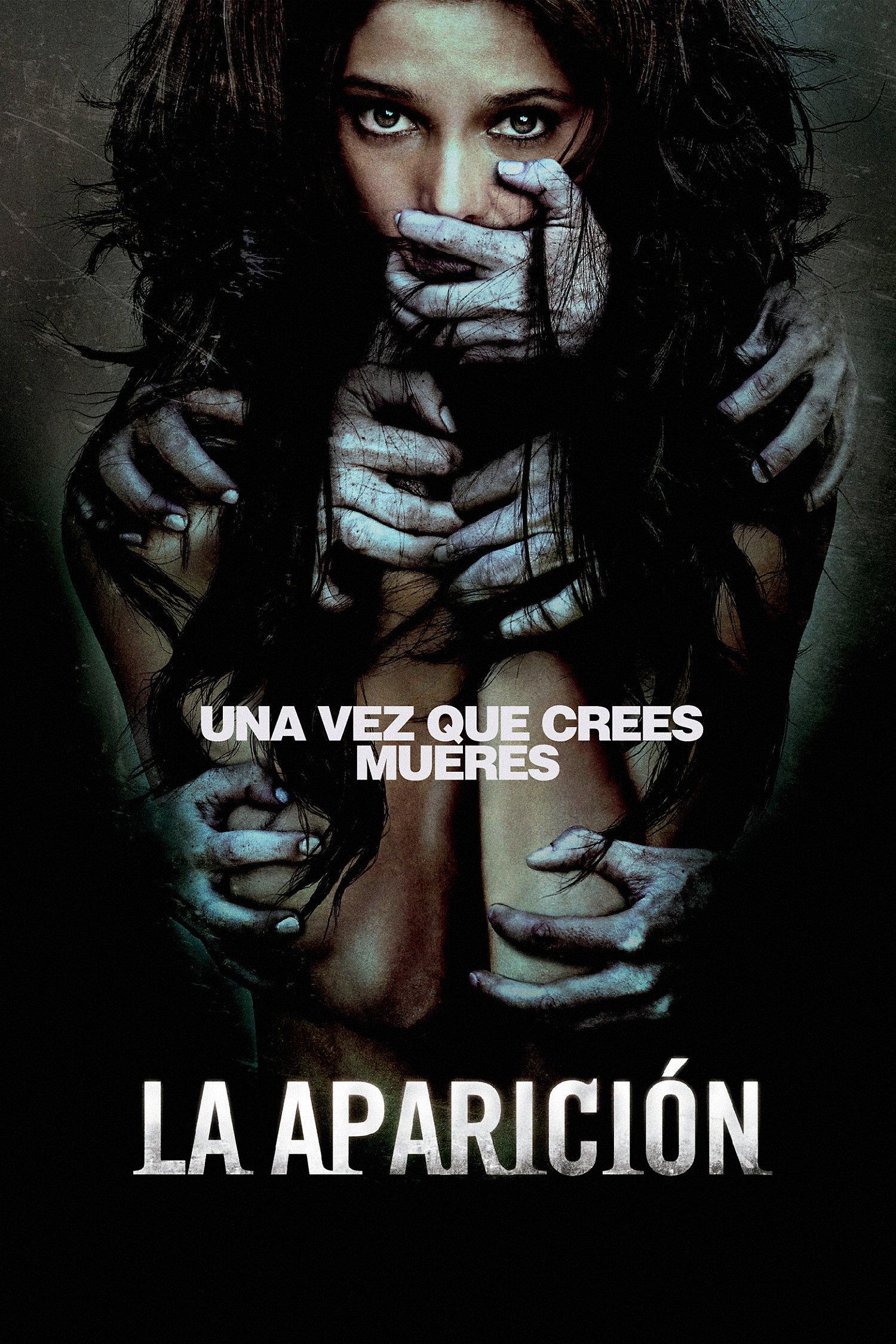 Poster La aparicion