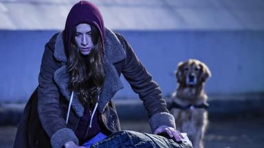 Poster episodio In the Dark 1x13