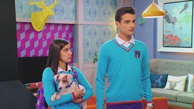 Poster episodio Yo Soy Franky 1x49