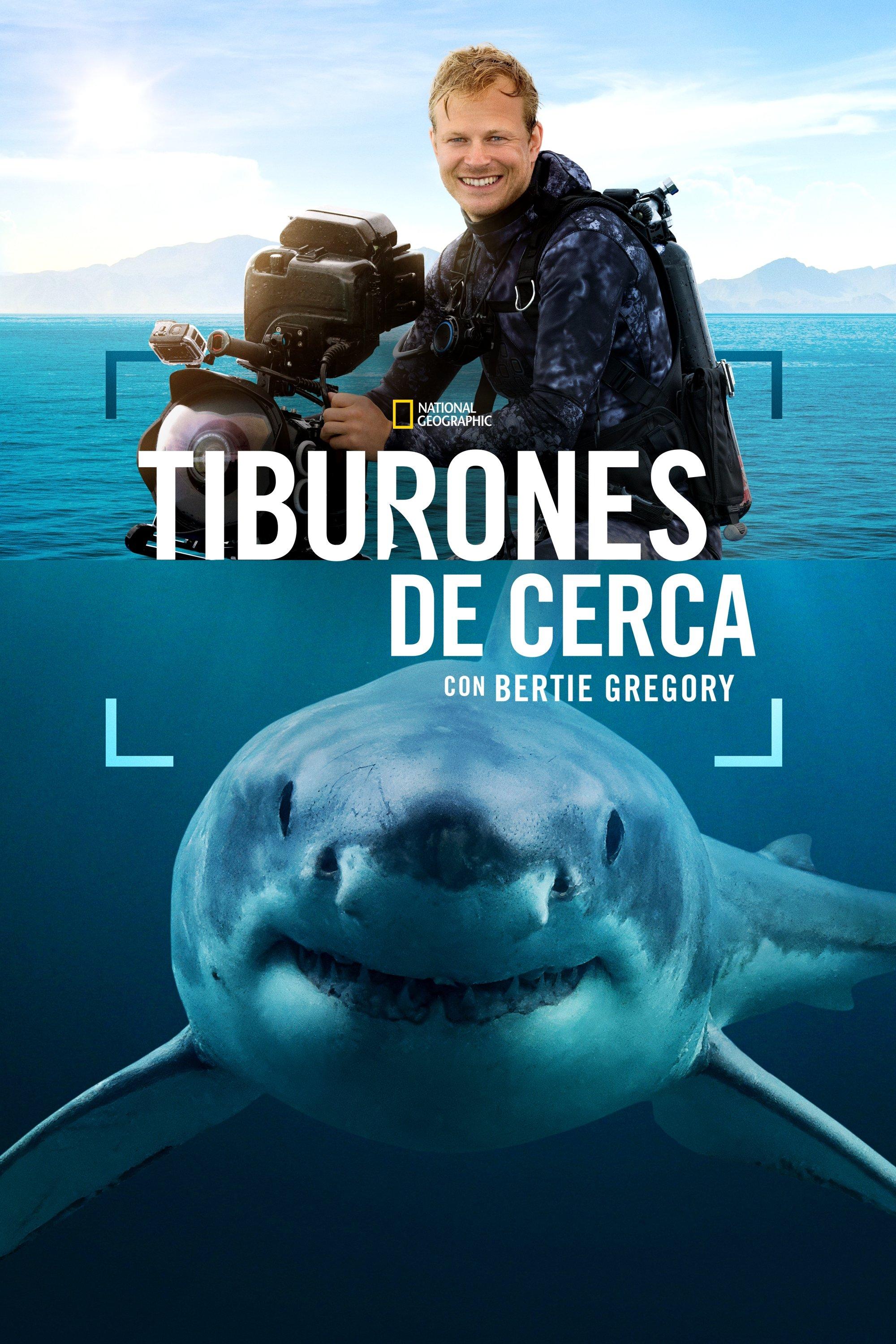 Poster Sharks Up Close with Bertie Gregory