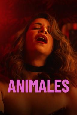 Poster Animales