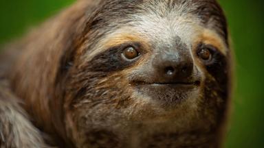 Poster episodio Underdogs 1x5