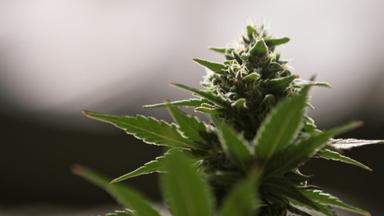 Poster episodio En pocas palabras 1x12