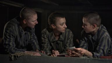 Poster episodio El Tatuador de Auschwitz 1x3