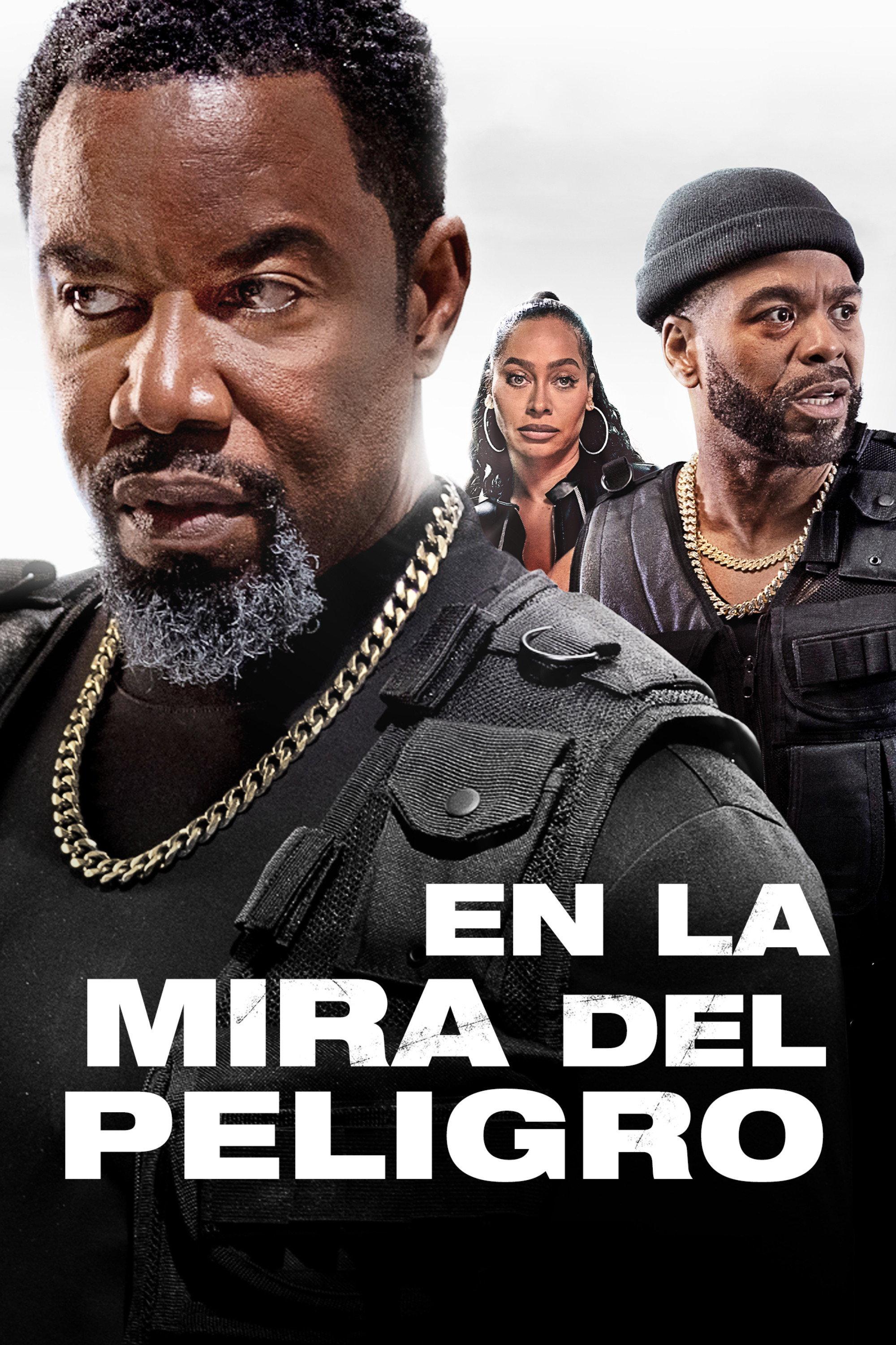 Poster En La Mira Del Peligro