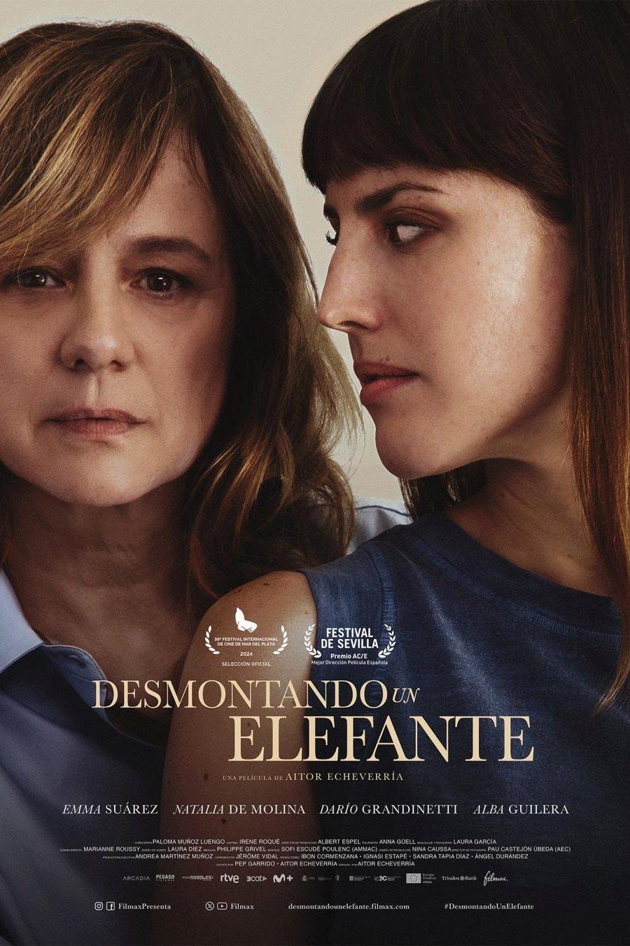 Poster Desmontando un elefante