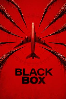 Poster Black Box (Flight 298)