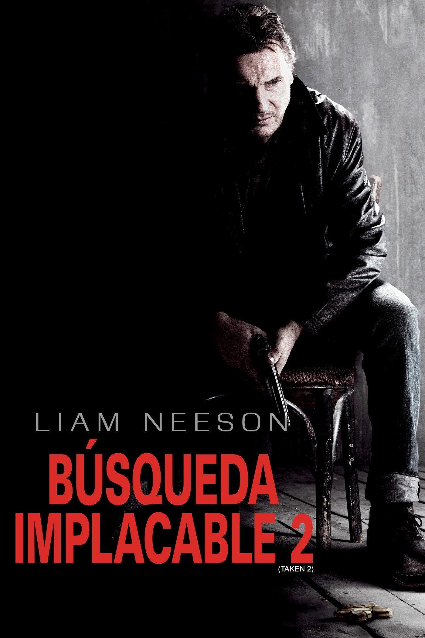 Poster Búsqueda implacable 2