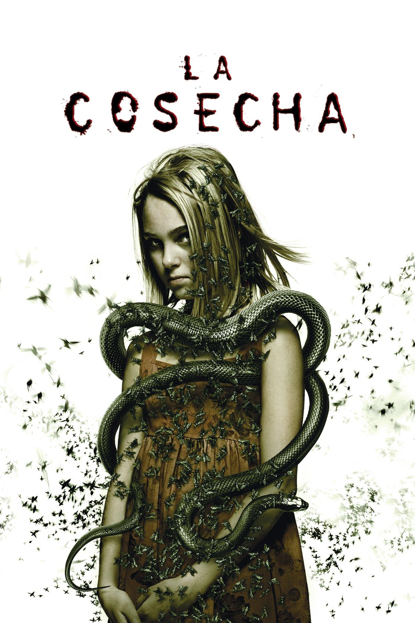 Poster Prueba de fe
