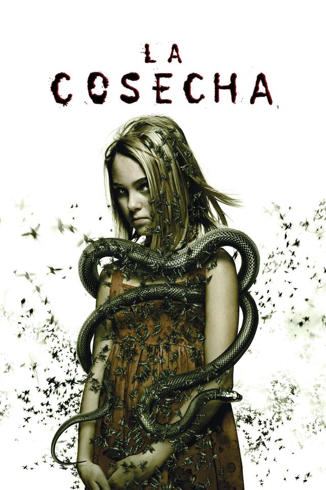 Poster Prueba de fe