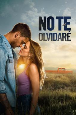 Poster No te olvidaré